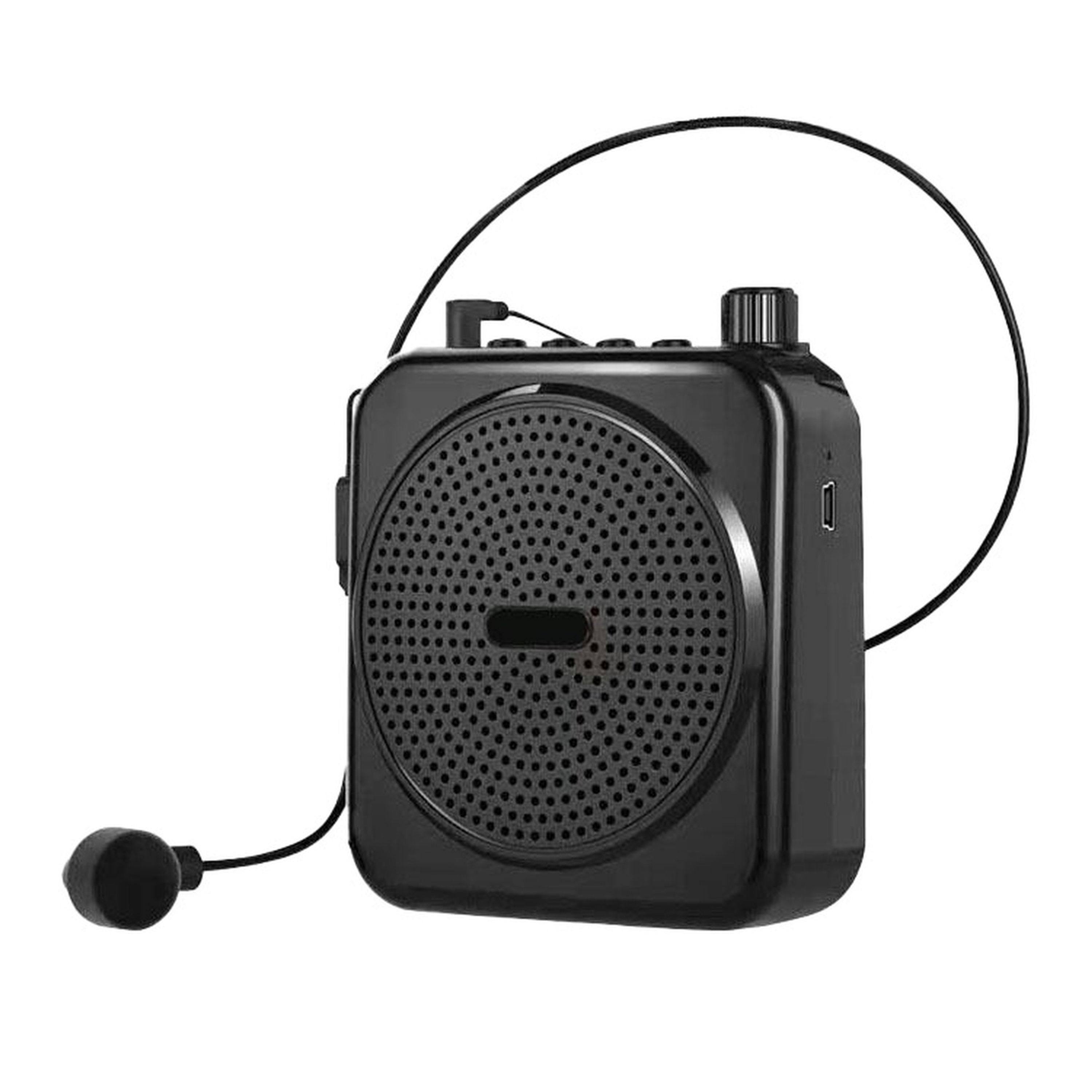 Portable Lapel Microphone System