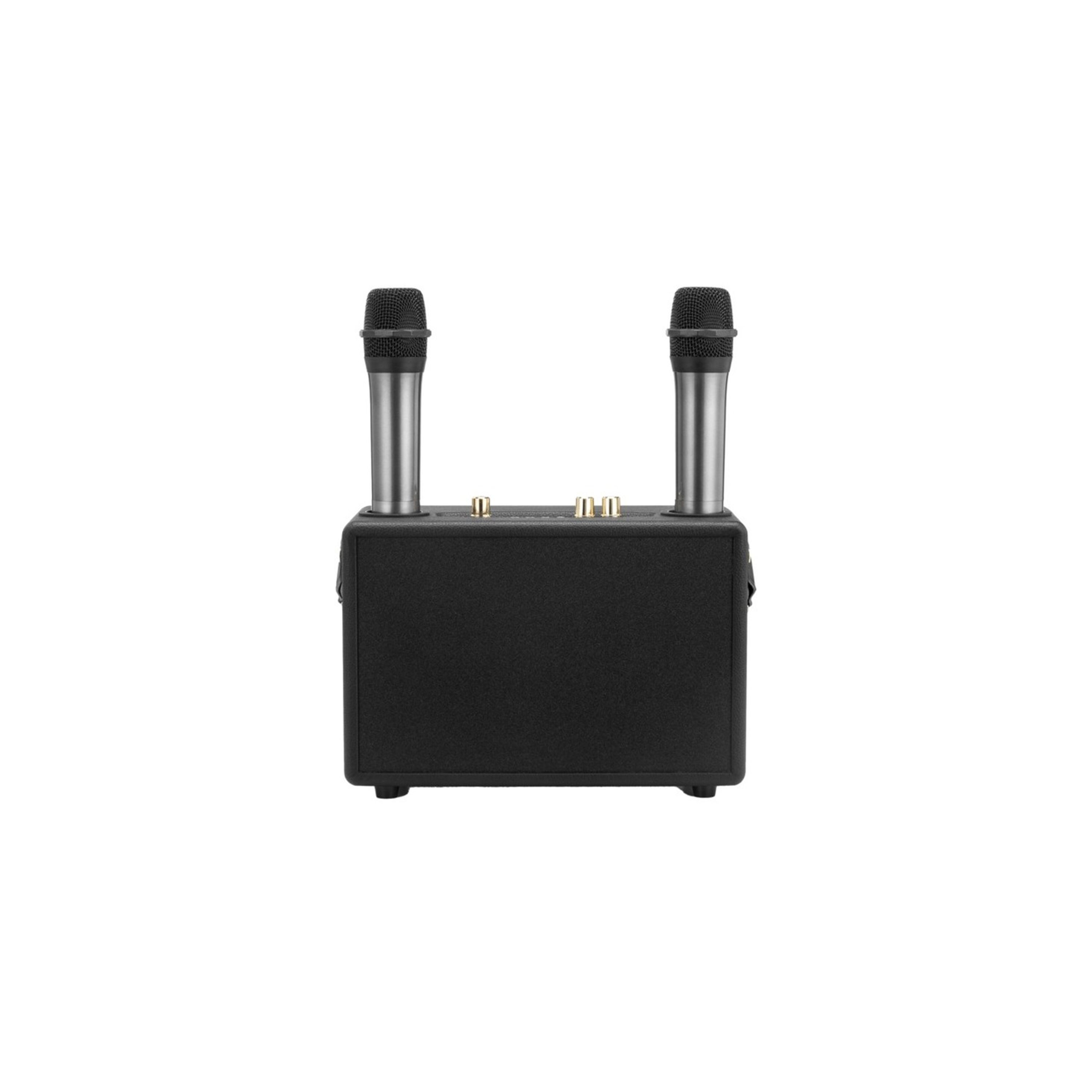 Wireless Karaoke Speaker with 2 Microphones - Black