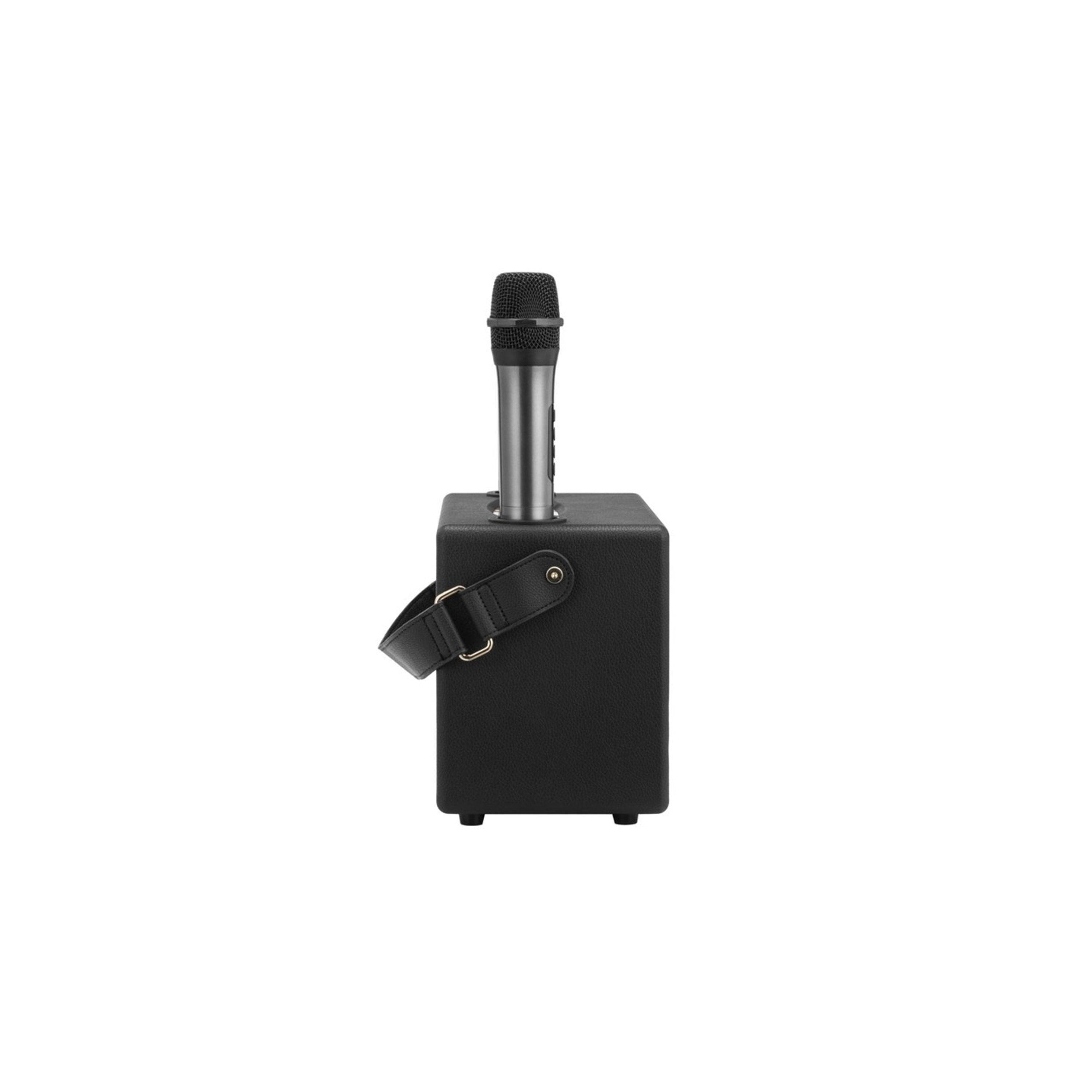 Wireless Karaoke Speaker with 2 Microphones - Black