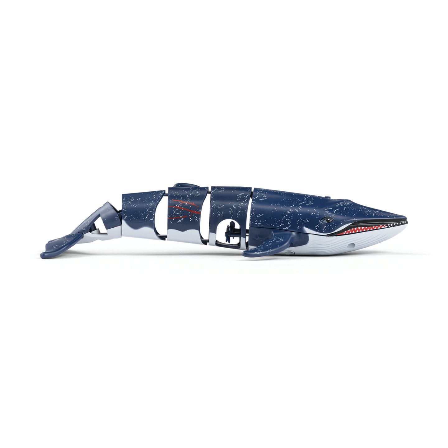 R/C Blue Whale