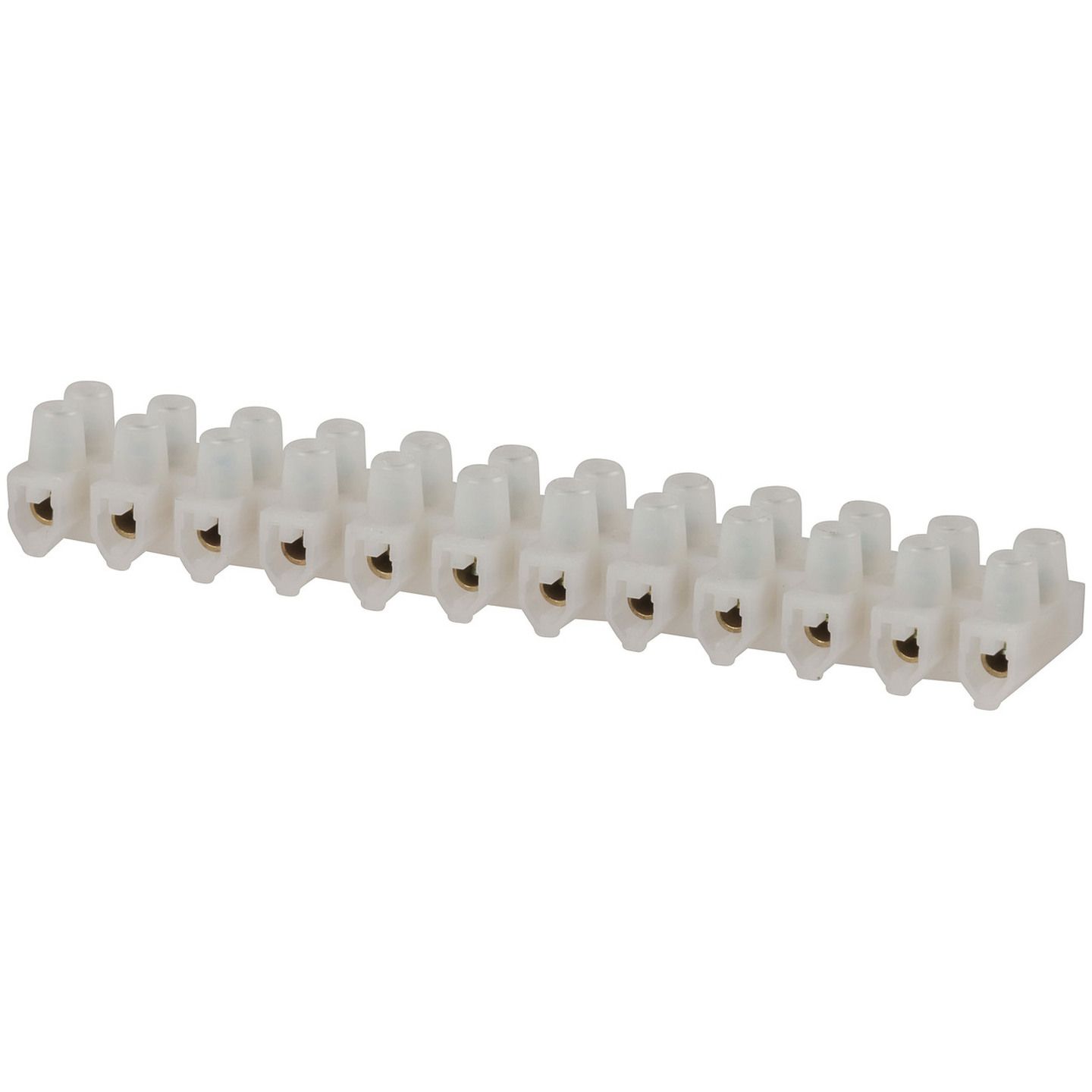 6 Amp 12-way Screw Terminal Strip