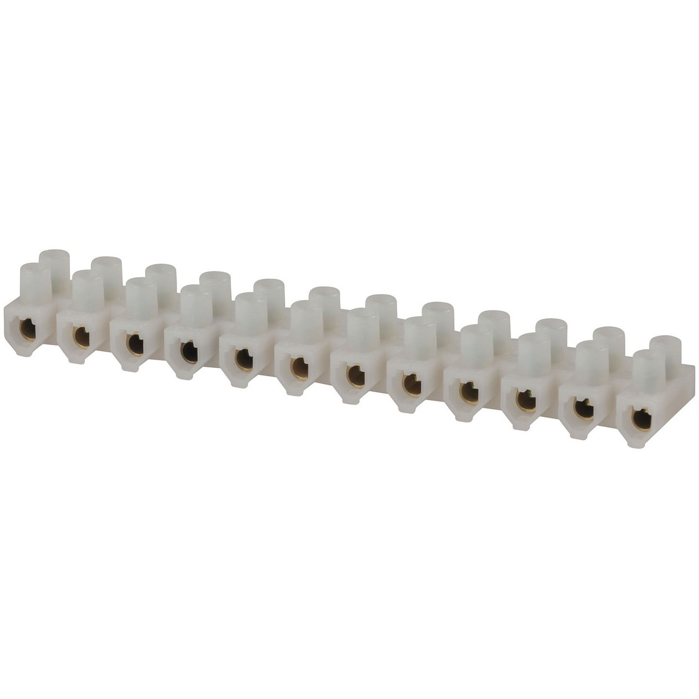 30 Amp 12-way Screw Terminal Strip