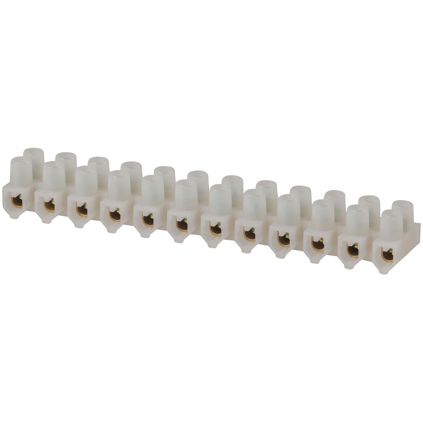 15 Amp 12-way Screw Terminal Strip