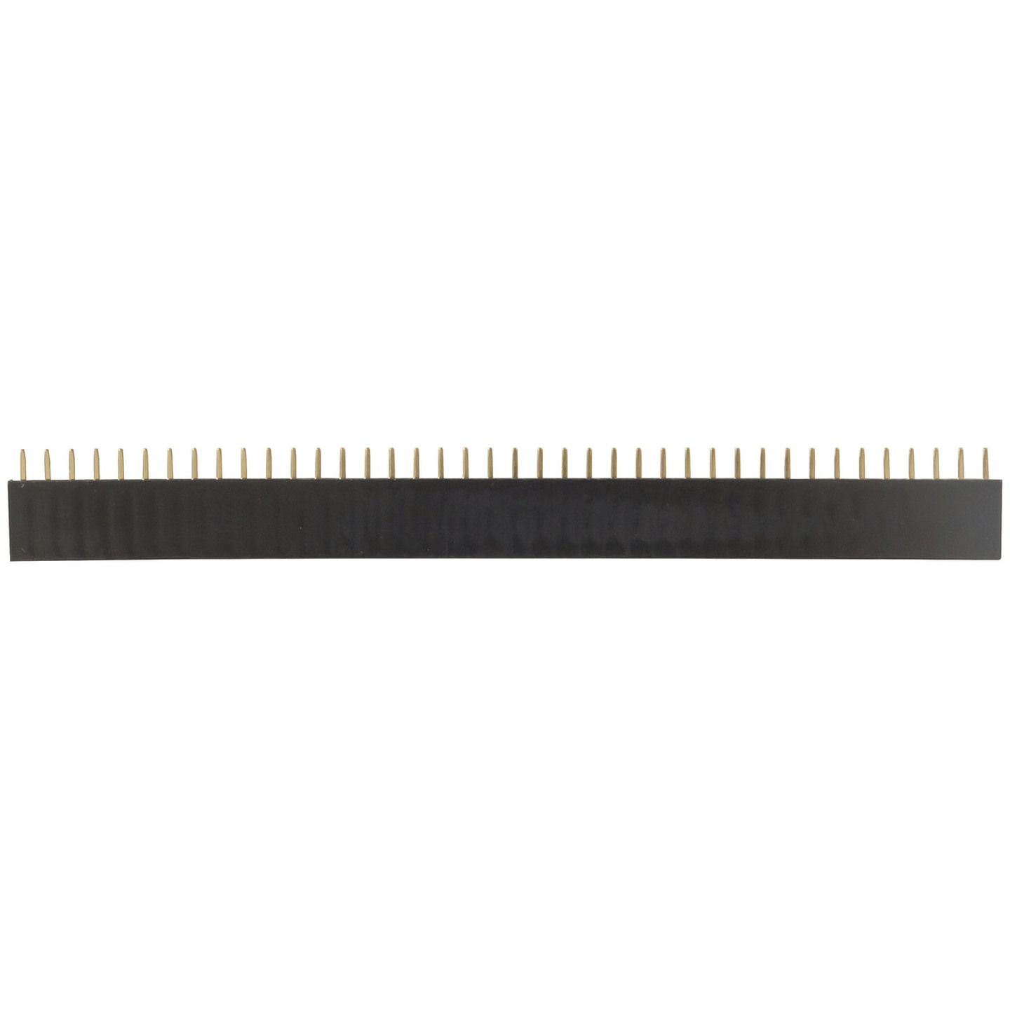 40 Pin Female Header Strip