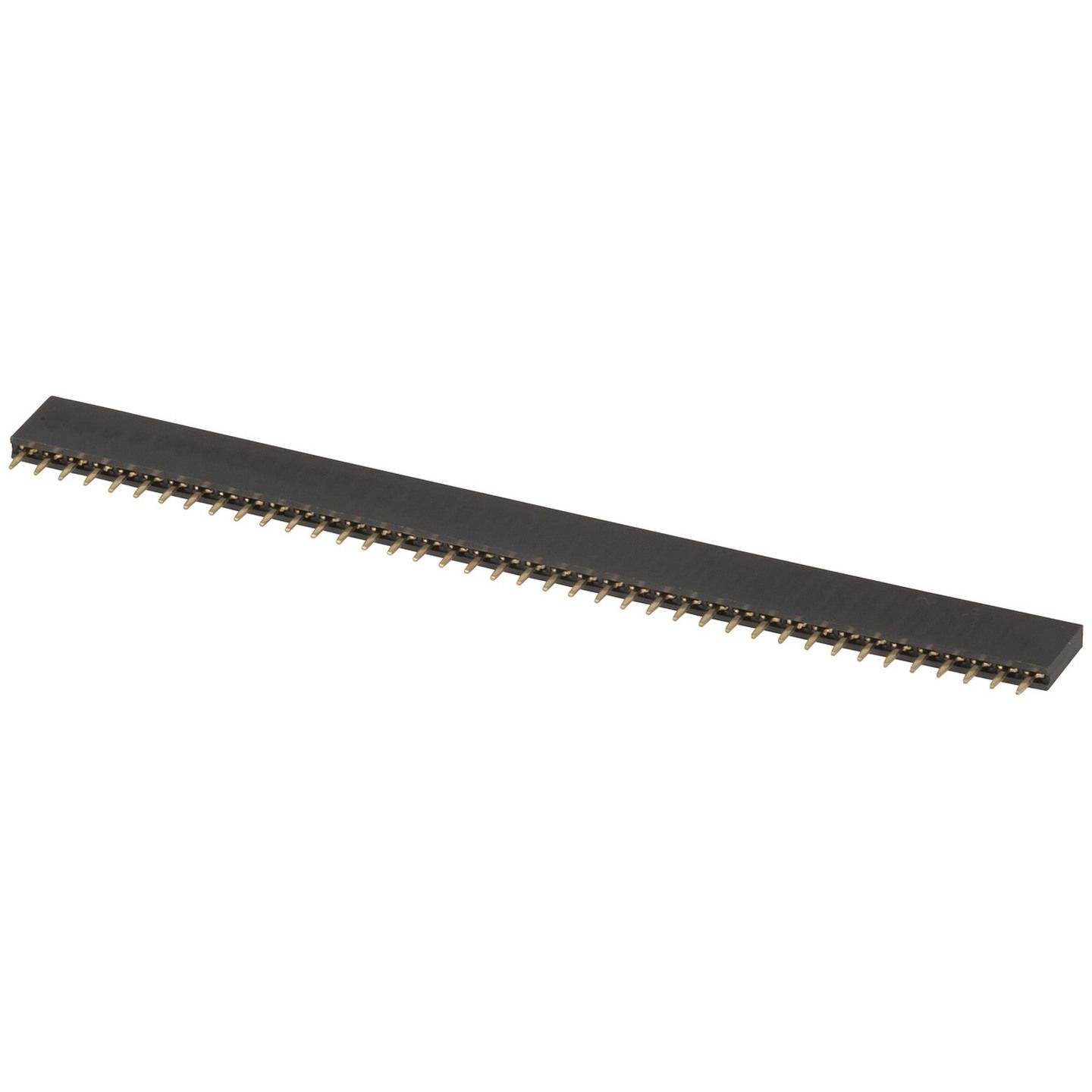 40 Pin Female Header Strip