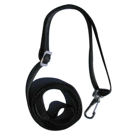 Nylon Webbing Canopy Straps with Adjuster – Pair, 25mm × 1.5m | Jaycar