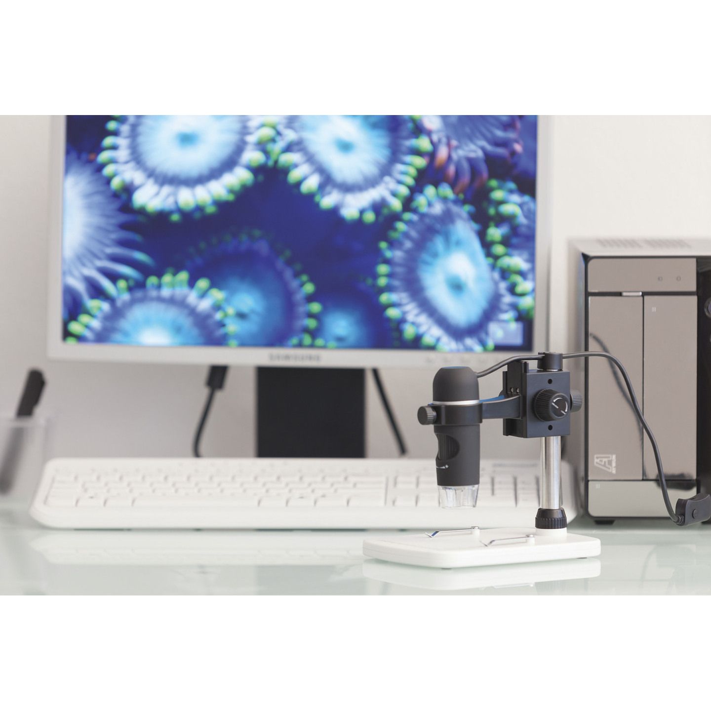 Digitech 5MP USB Digital Microscope