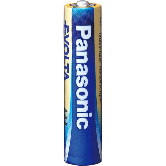 Panasonic Evolta AAA Alkaline Batteries – 2 Pack