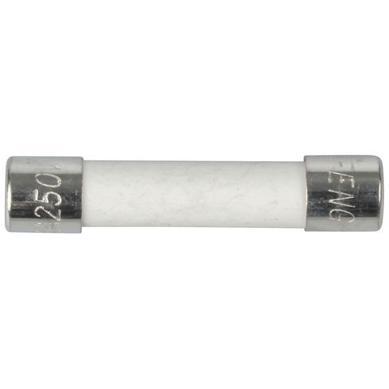 Jaycar 8A 3AB/3AG Ceramic Fast Blow Fuse