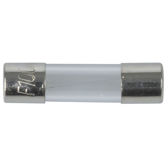 100MA M205 QUICK BLOW FUSE 250VAC