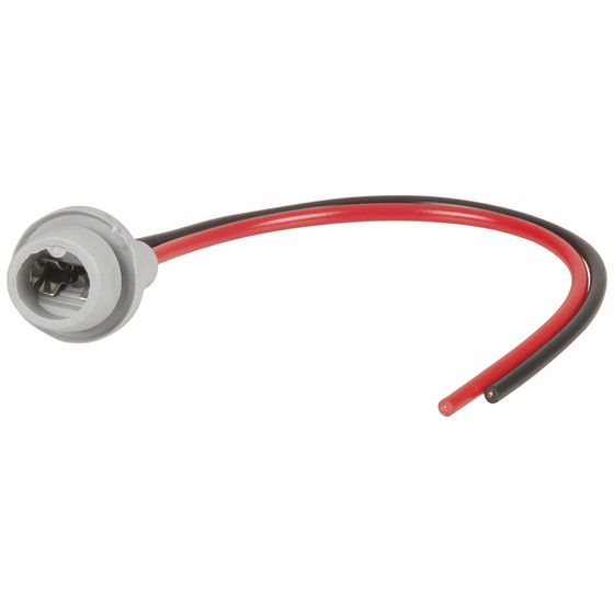 JAYCAR T10 Wedge Globe Socket – 19–20mm Main, 16mm Secondary, 22mm Depth