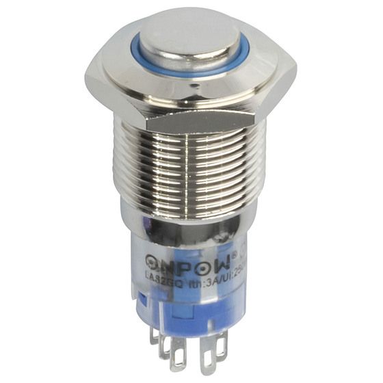 IP67 Illuminated Momentary Pushbutton Switch – Blue, DPDT, 12V LED