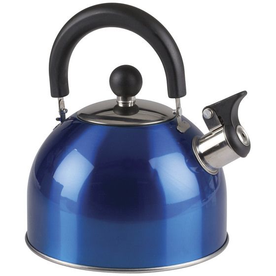 Blue Stainless Steel Whistling Kettle 2L | Folding Handle