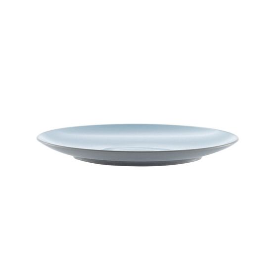 Rovin 27cm Grey & Blue Plastic Plate – BPA-Free, Dishwasher & Microwave Safe | TCG050