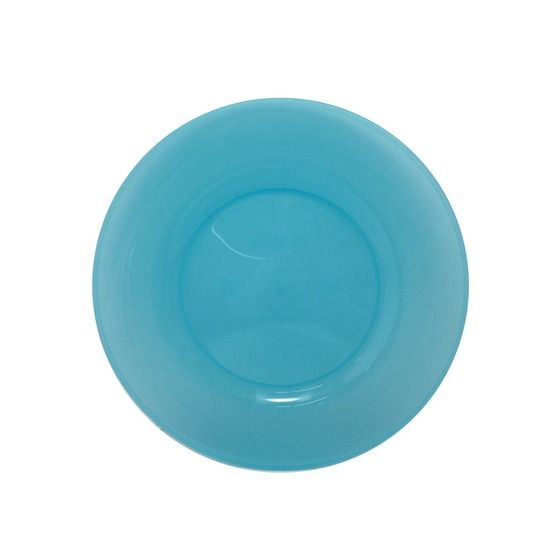 Rovin 25.4cm Large Dinner Plate – Lightweight, Break-Resistant for Camping & Caravans | TCG070