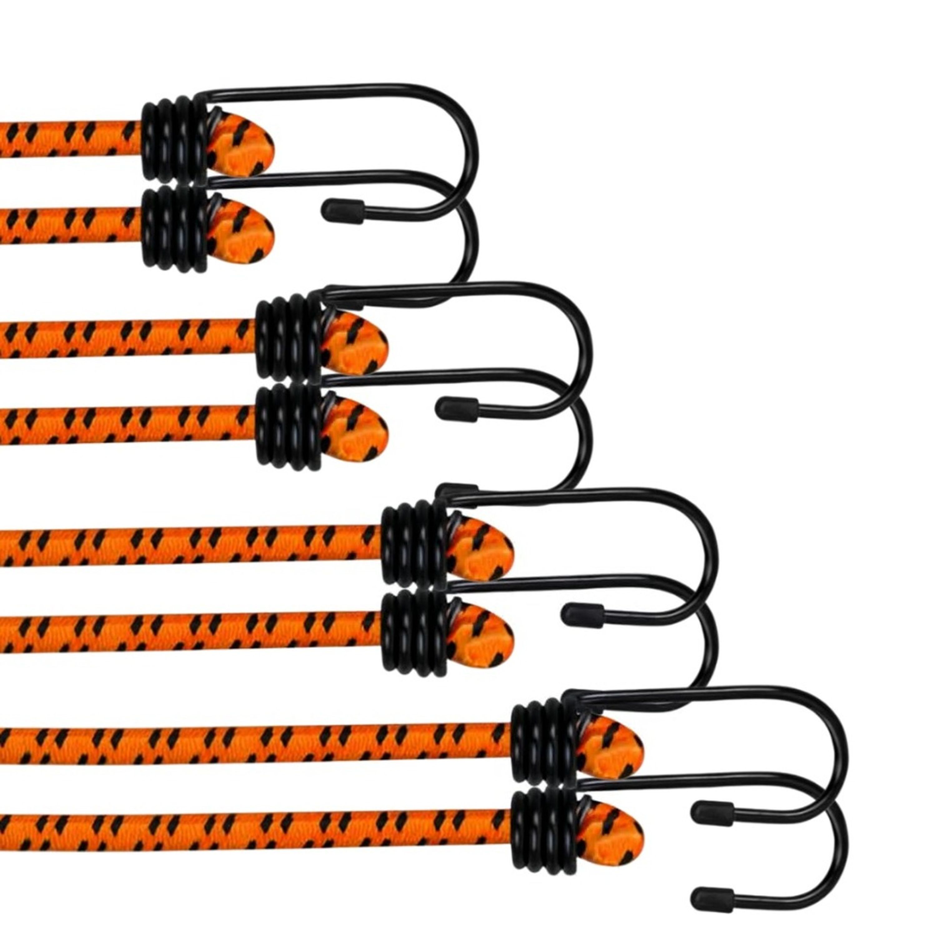 Assorted Elastic Strap 8 Pack
